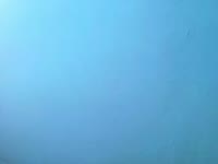 I look shy, but with you I can be fire. I am excited to see you touching you, exploring without limits, melee. Only ecstasy guides us. Do you dare to get yours?