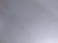 I am here for your enjoyment and I love to have fun. I have an open mind and love to play as only you and I can play together. I love being alone with you. I get so excited. My strongest desire is to make you happy. I know that you will be endlessly happy with me.